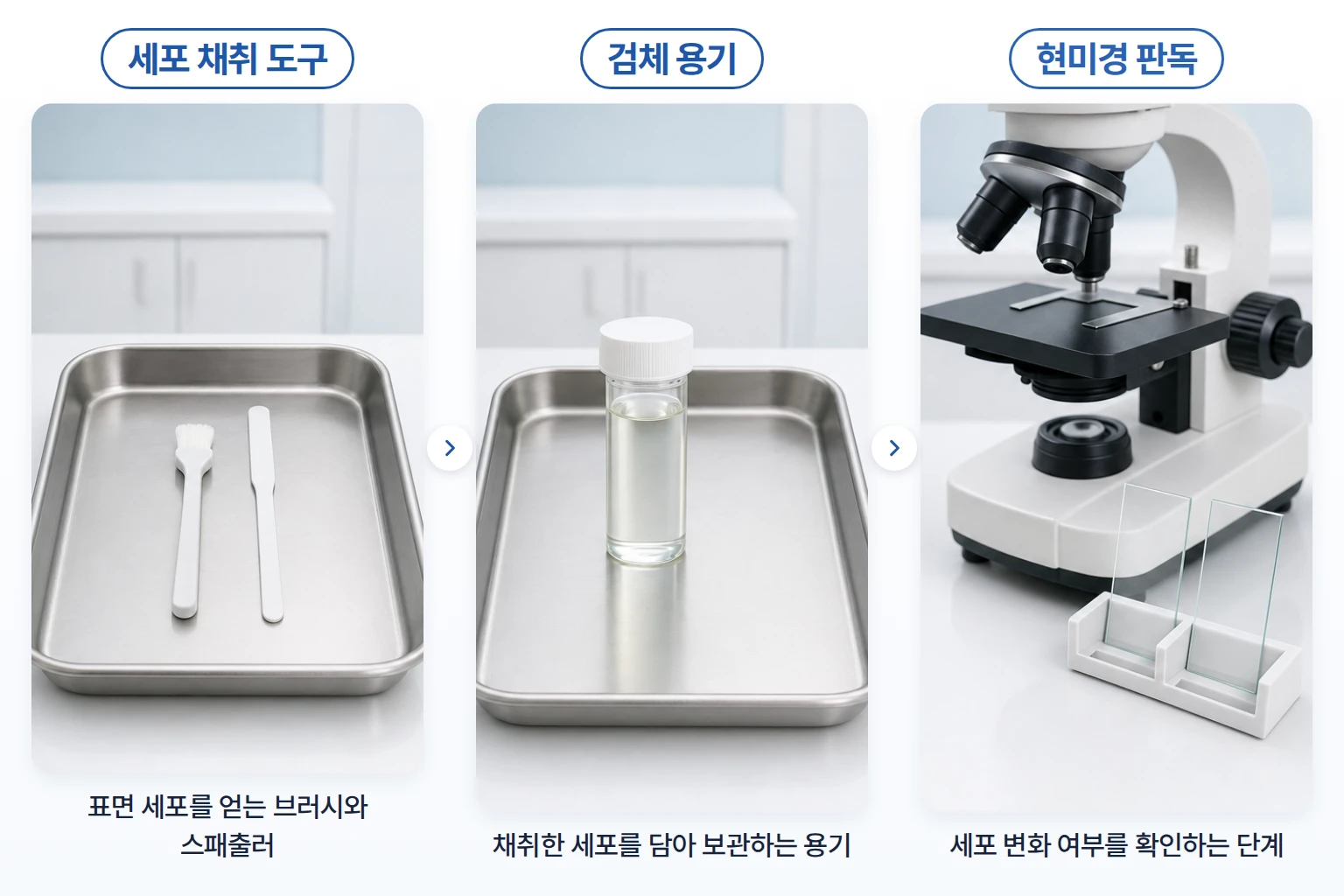 세포 채취 도구와 보존 용기, 현미경 판독 단계를 순서대로 담은 자궁경부 세포검사 비교 사진