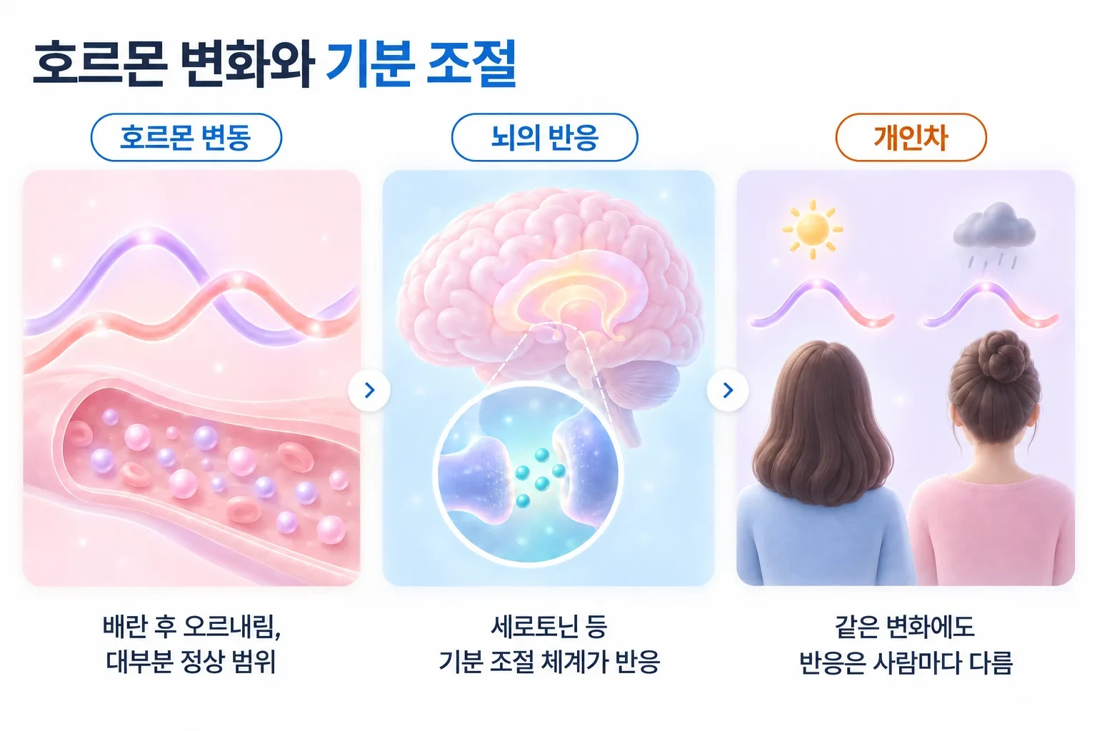 배란 후 호르몬 변동에 뇌의 세로토닌 등 기분 조절 체계가 반응하고, 그 정도가 사람마다 다른