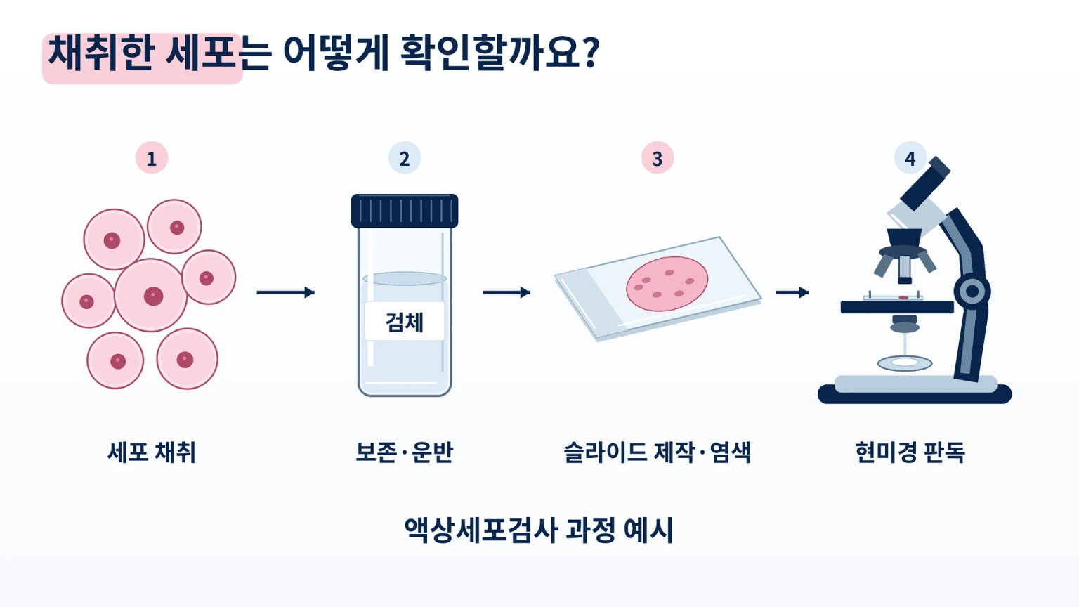 세포 채취와 검체 보존·운반, 슬라이드 제작·염색, 현미경 판독으로 이어지는 액상세포검사 과정