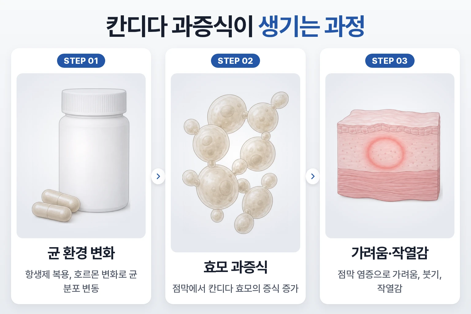 항생제 사용, 칸디다 효모 과증식, 점막 염증과 가려움 순서로 정리한 단계 흐름 이미지