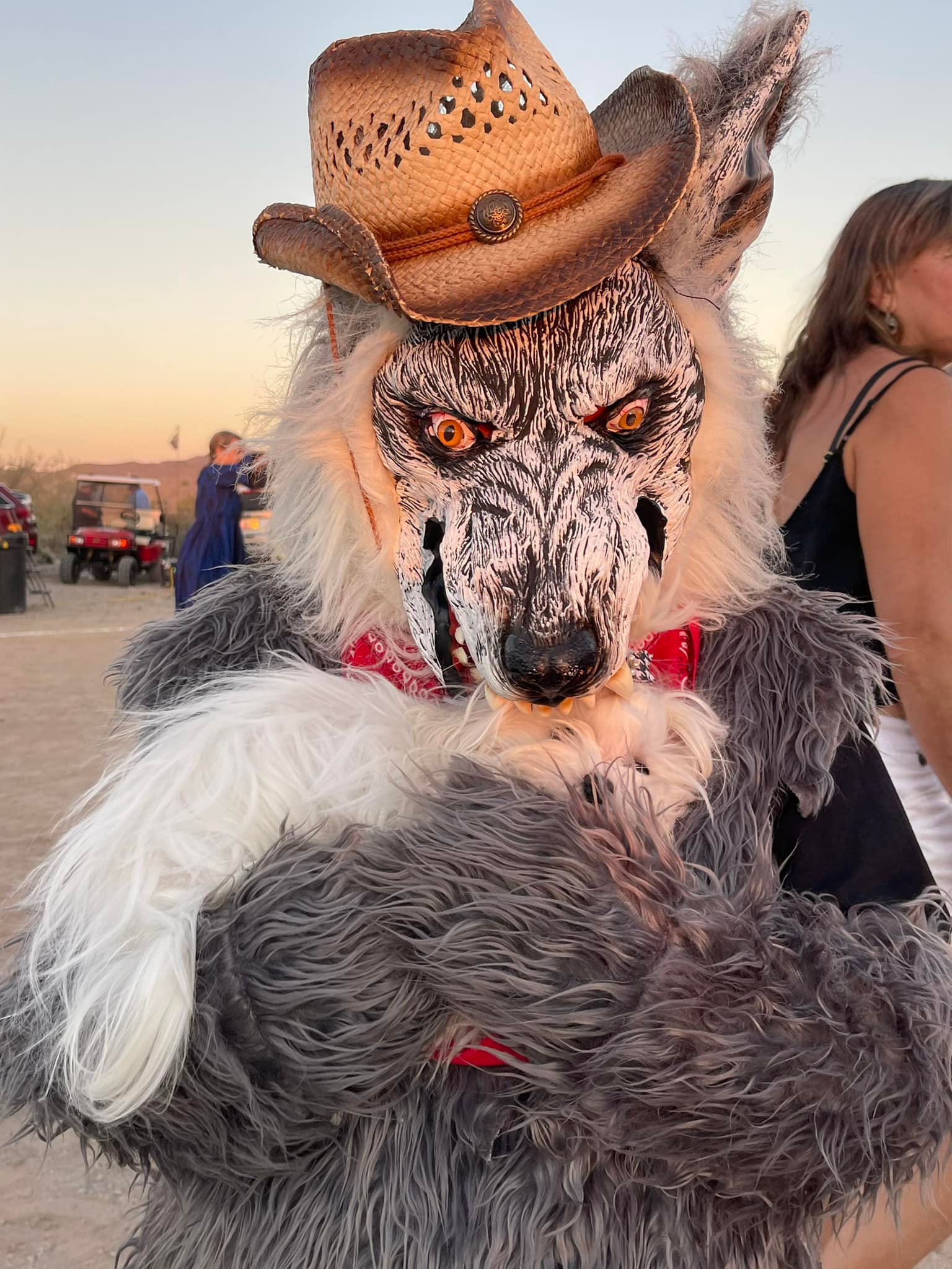 Howlin at the moon 7