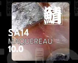 SA14 MAQUEREAU