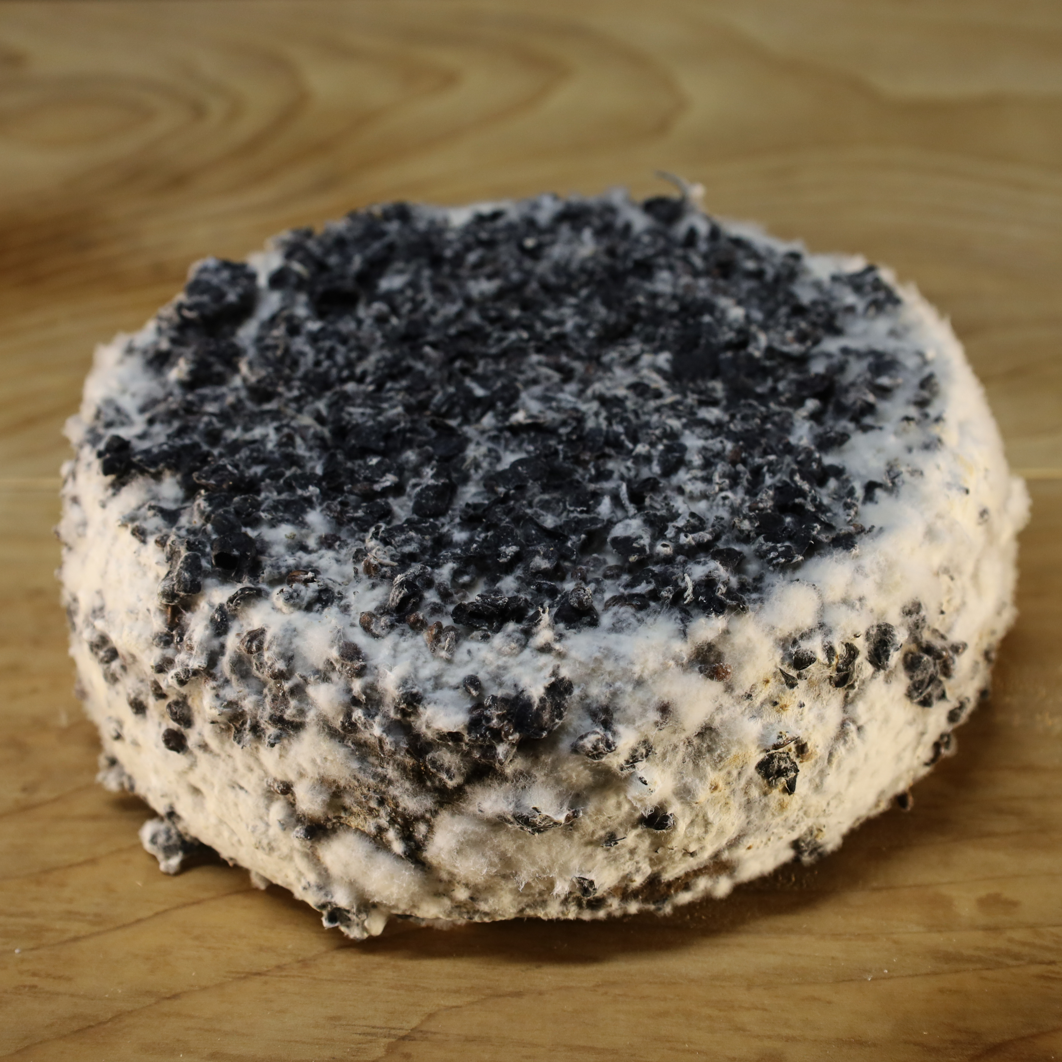 107 - TOMME MARC 1