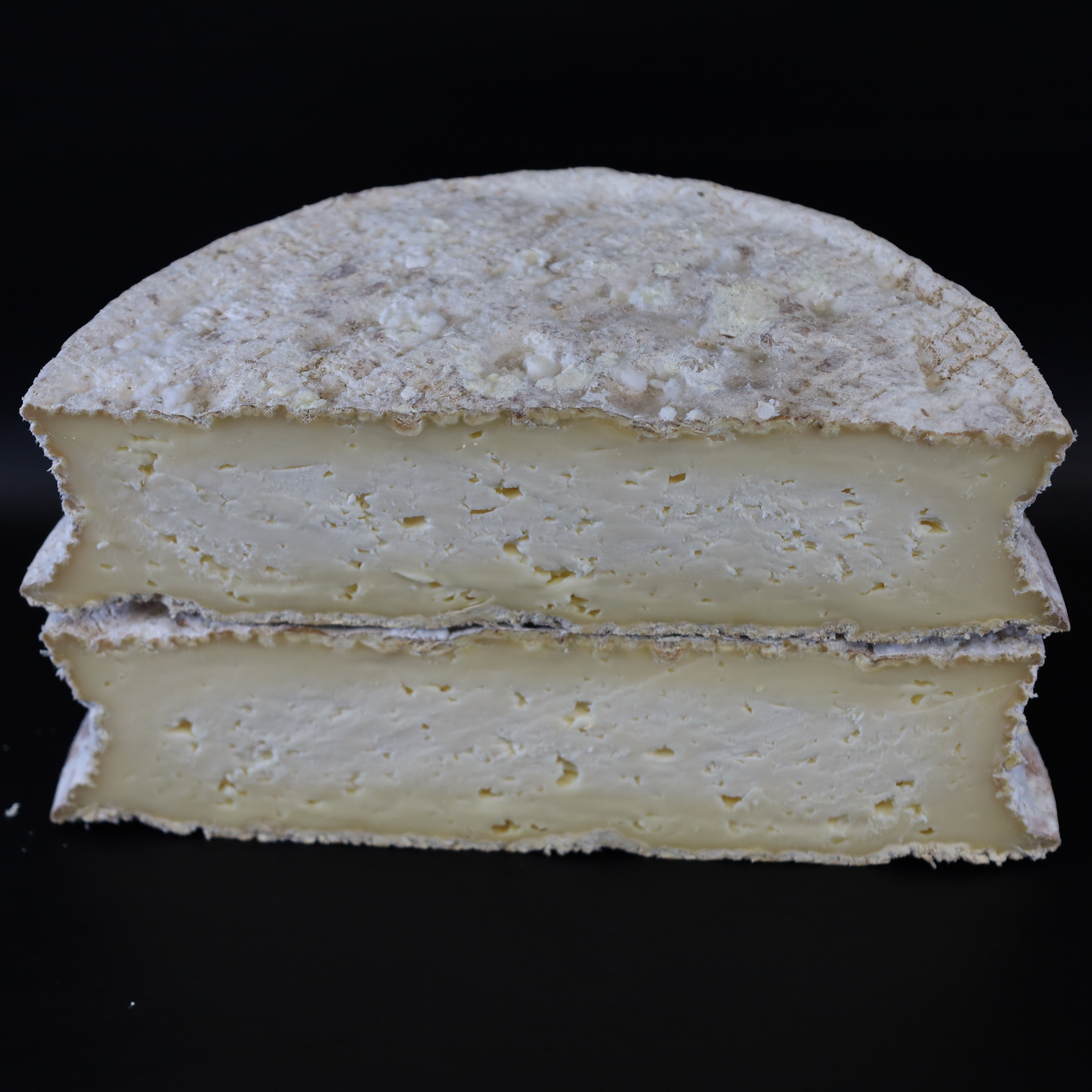 123 - TOMME CRAYEUSE