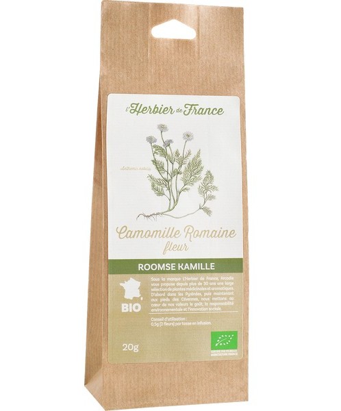 Camomille Romaine fleur