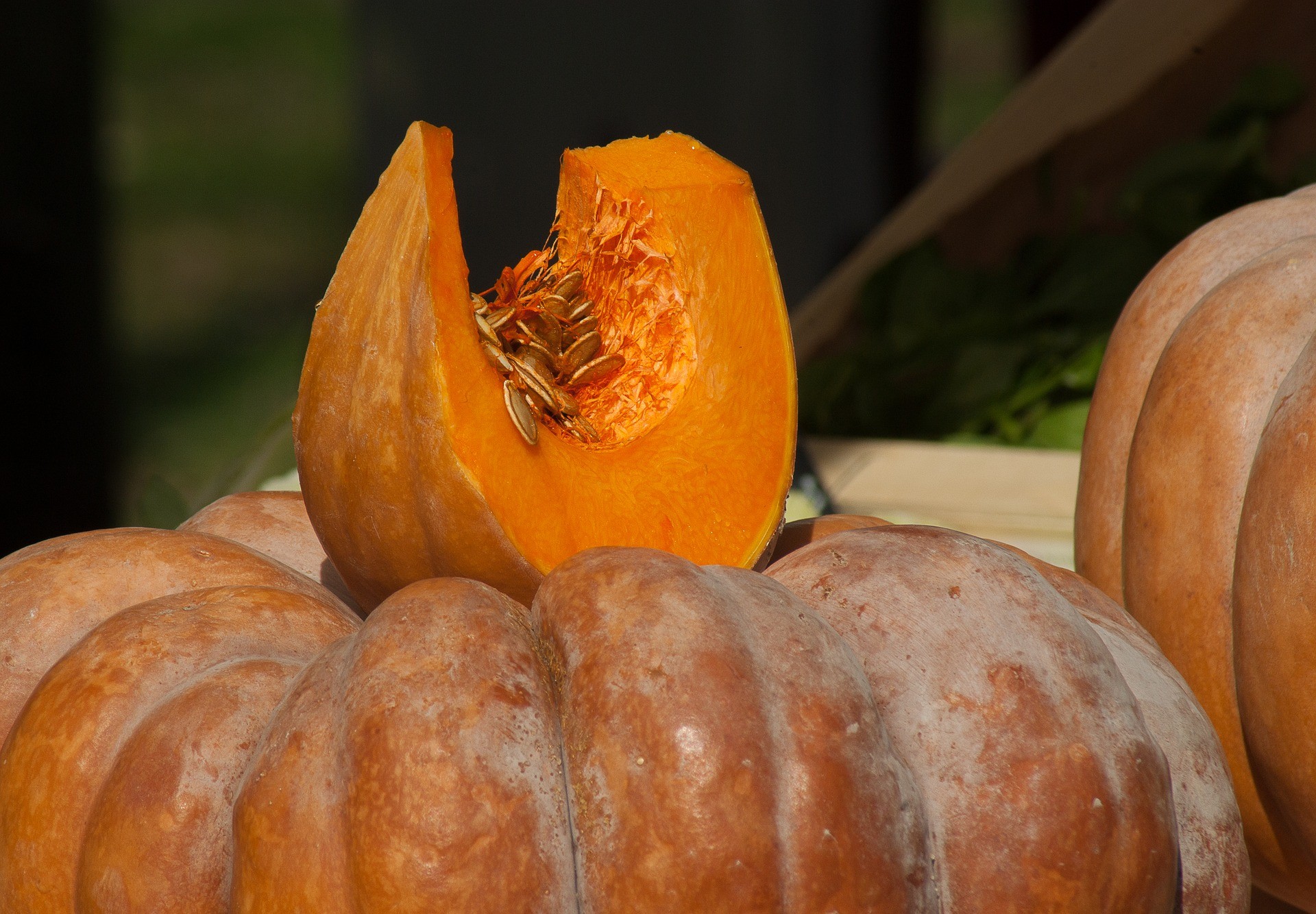 courge musquée