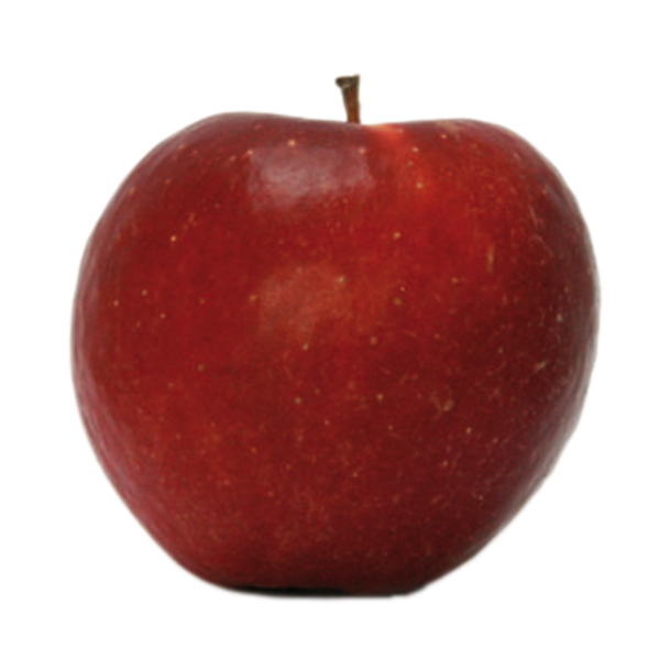 pomme dalinette