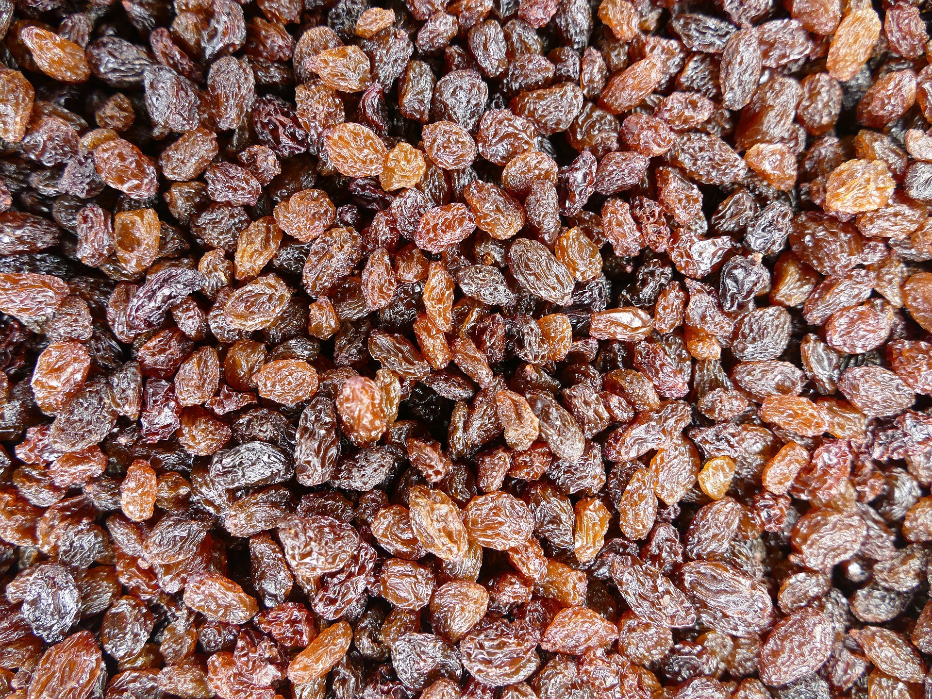 raisins secs vrac
