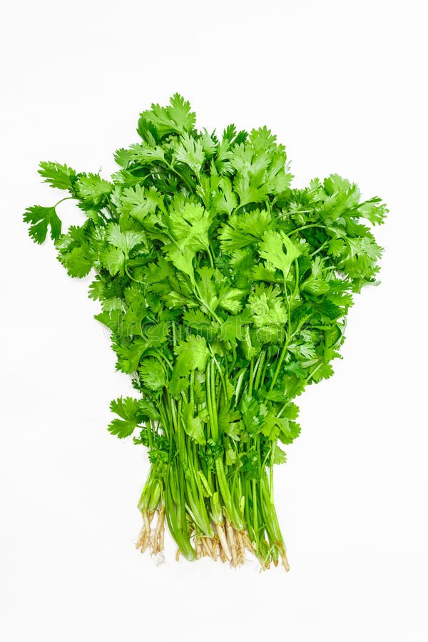 PAQUET CORIANDRE