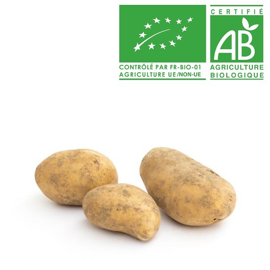 POMME DE TERRE ALLIANS BIO