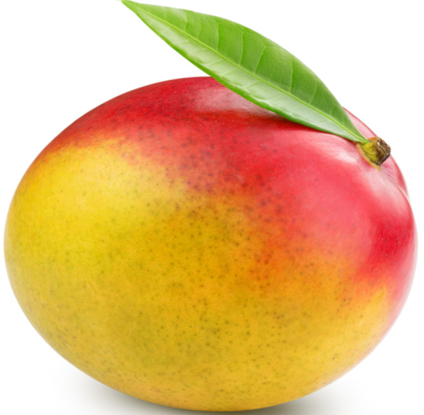 Mangue