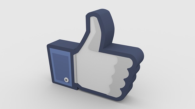 community manager