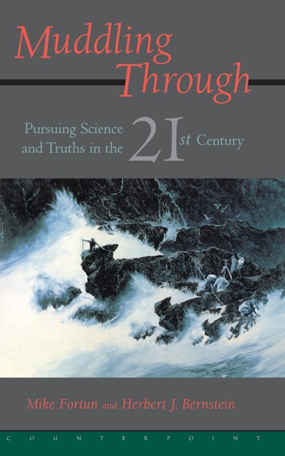 The Science of 'Muddling Through'