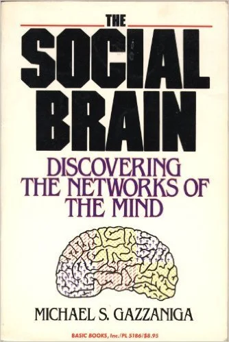 The Social Brain: Discovering the Networks of the Mind