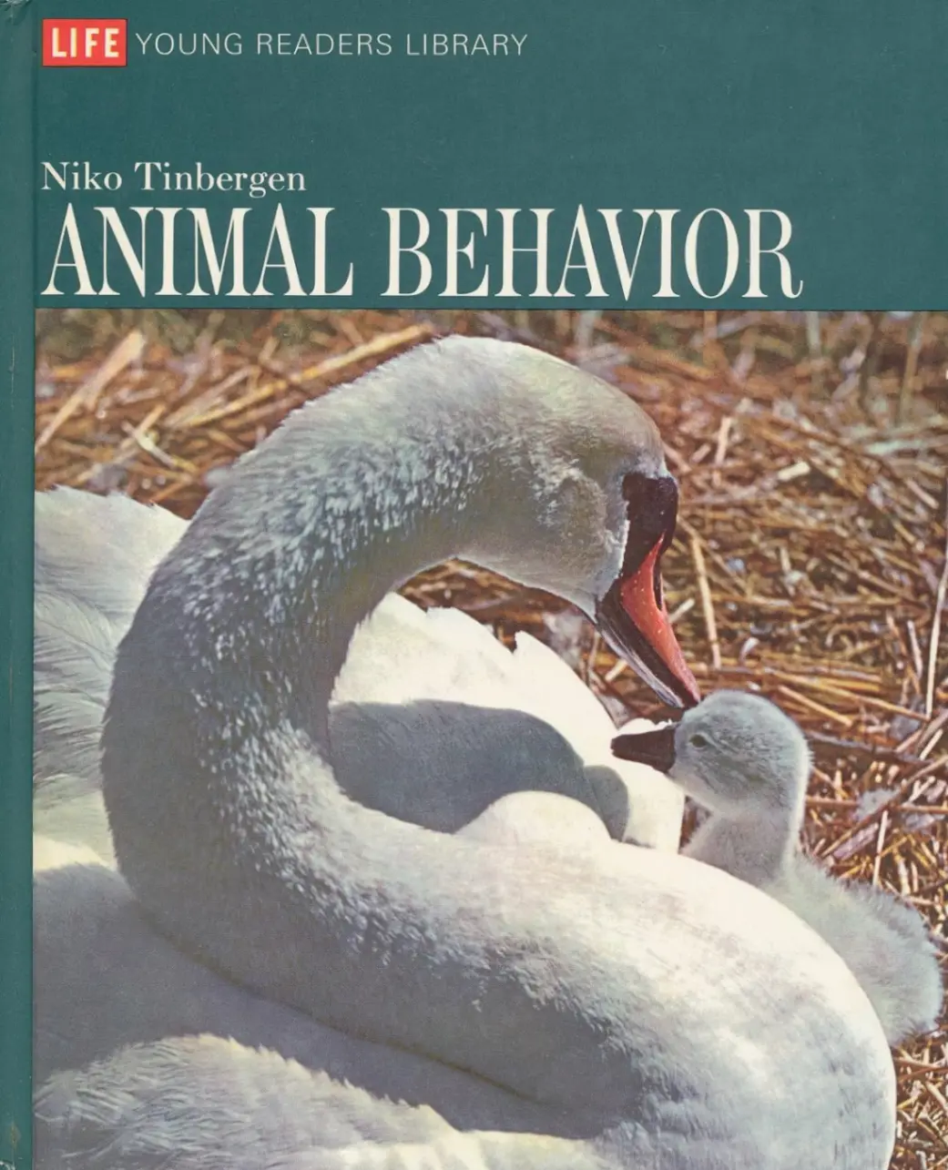 Animal Behavior