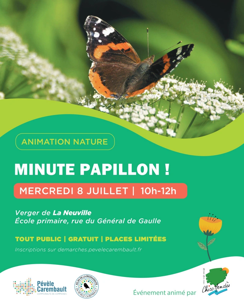 Animation Nature: Minute, papillon à La Neuville — Événement