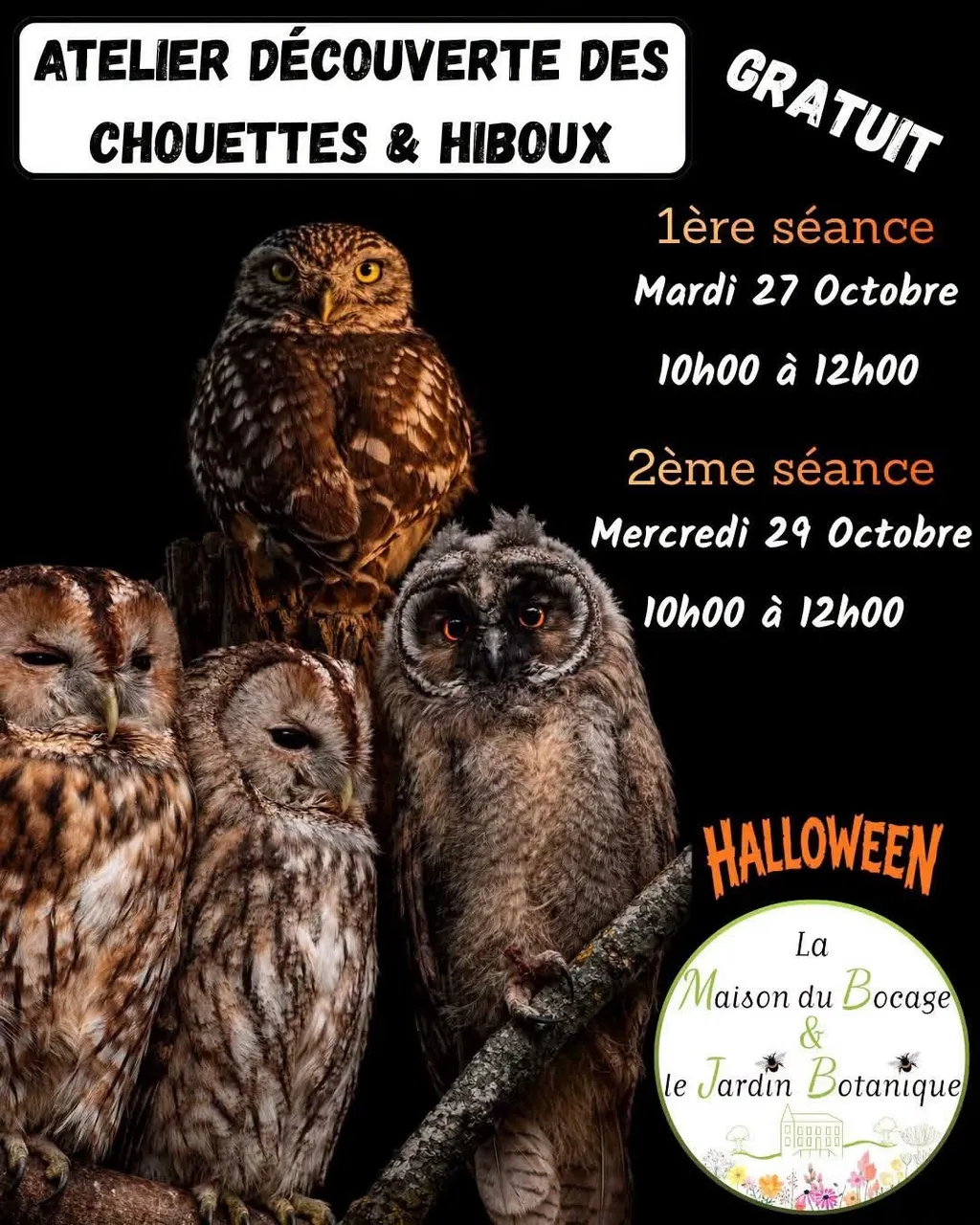 Atelier découverte: les chouettes & Hiboux à Sains-du-Nord — Événement
