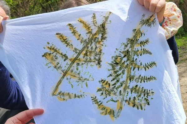 Atelier: Empreintes végétales à Fourmies — Événement