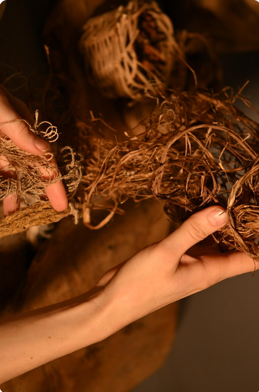 Atelier: Vannerie sauvage à Bavay — Événement
