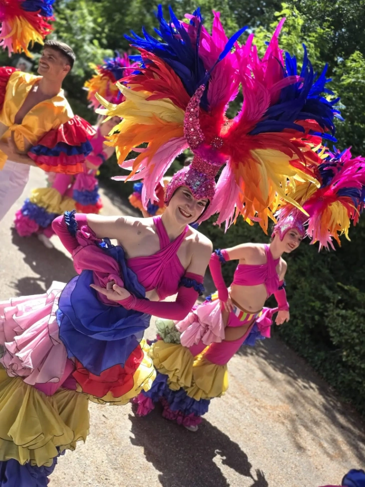 Cortège carnavalesque à Sin-le-Noble — Événement