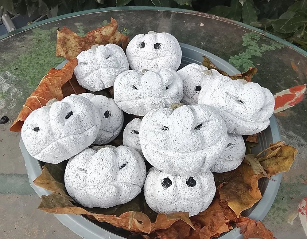 Halloween à la Ferme des Ombres au Sourd — Événement