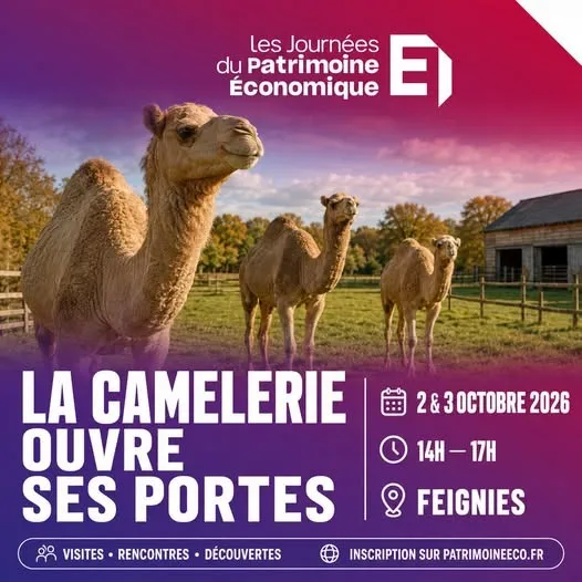 Journées du patrimoine économique : La camélerie à Feignies — Événement