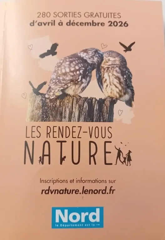 Le lierre, restaurant pour insectes à Avesnes-sur-Helpe — Événement