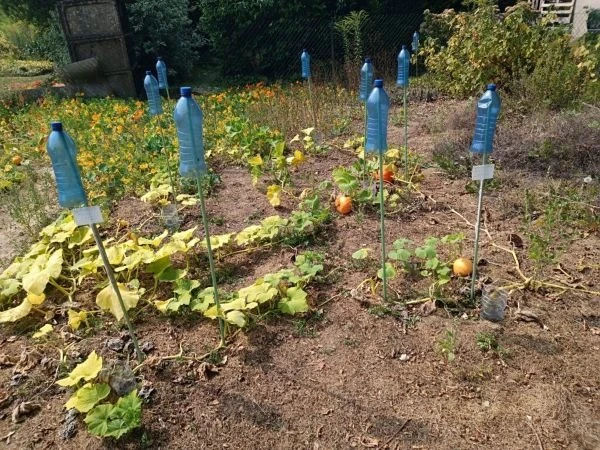 Rencontre débat: Réalité du dérèglement climatique à Fourmies — Événement