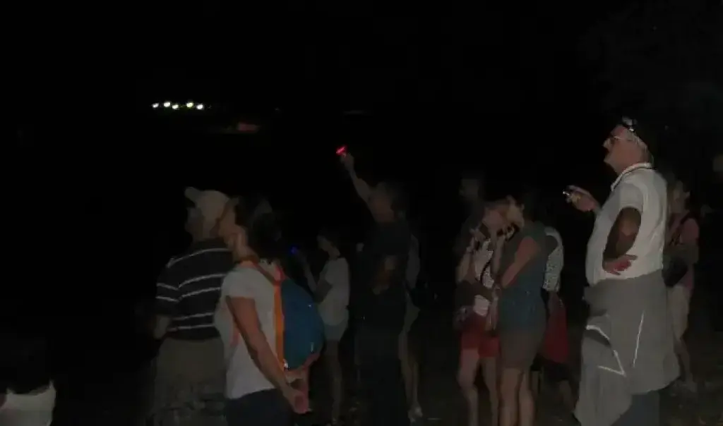 Renversante soirée: Les chauve-souris à Aubigny-au-Bac — Événement