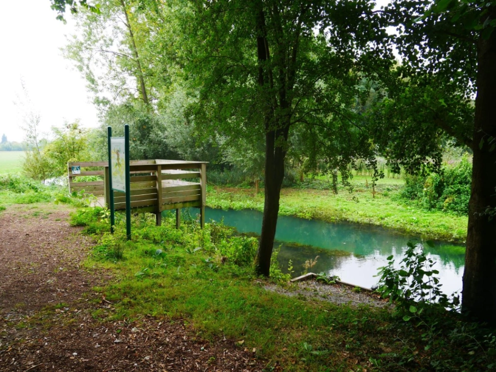 Sortie nature: Les plantes du plaisir à Noyelles-sur-Escaut — Événement