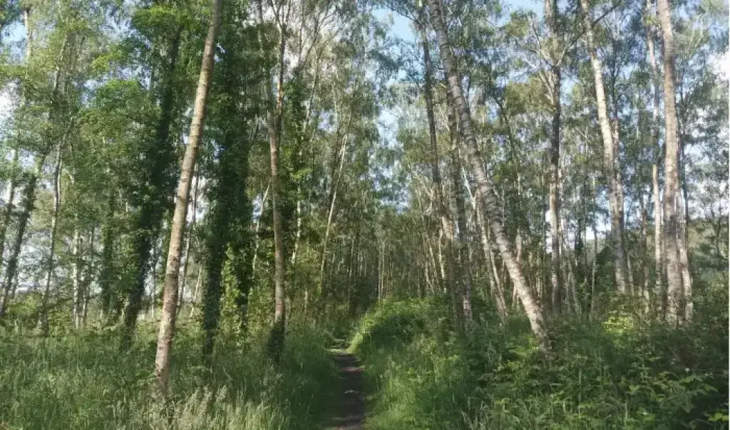 Sortie Nature: Paysages du Nord à Roost-Warendin — Événement