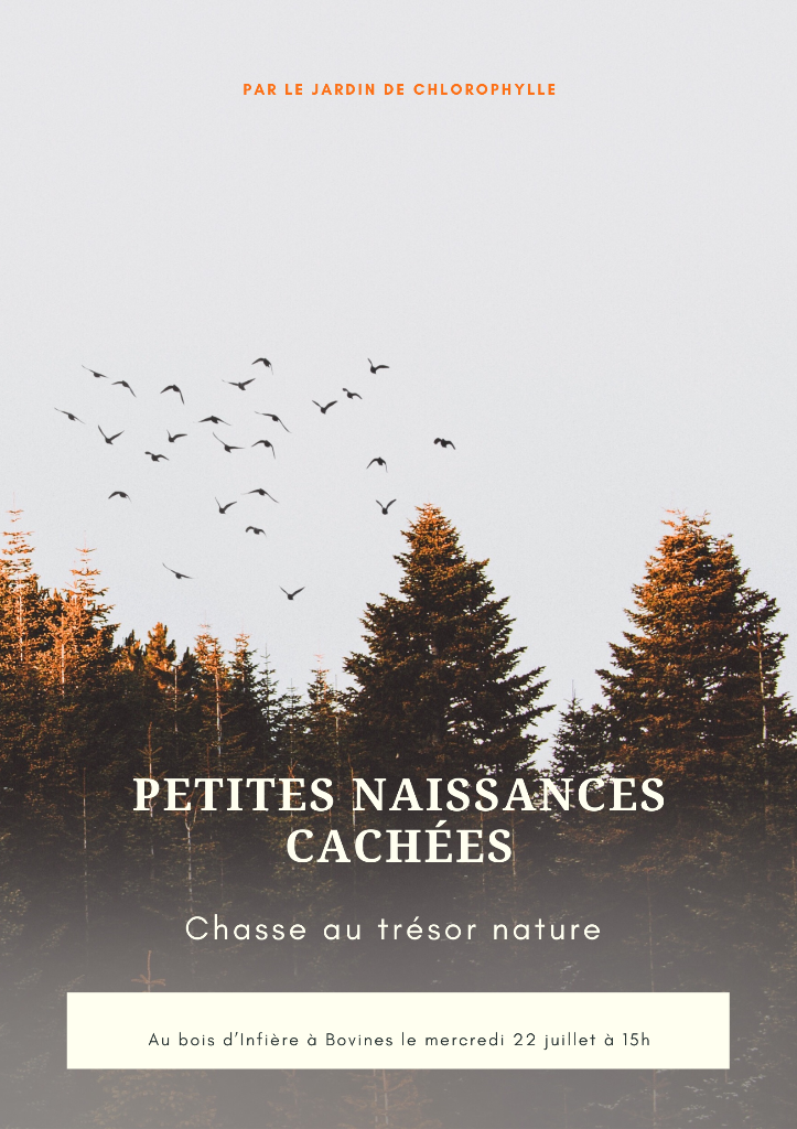 Sortie Nature: Petites naissances cachées à Bouvines — Événement