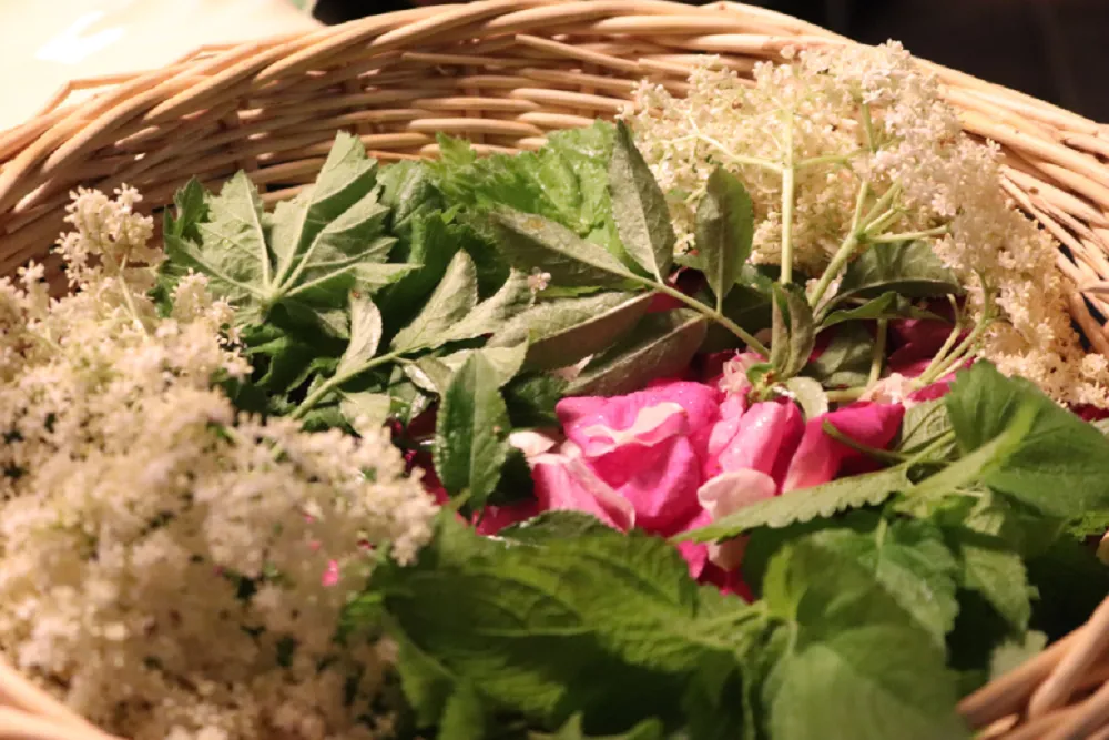 Stage "Créer son parfum" au Jardin d'Hélène à Proisy — Événement