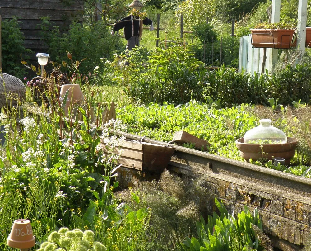 Stage "Plantes aromatiques et création de votre propre hydrolat" à Proisy — Événement