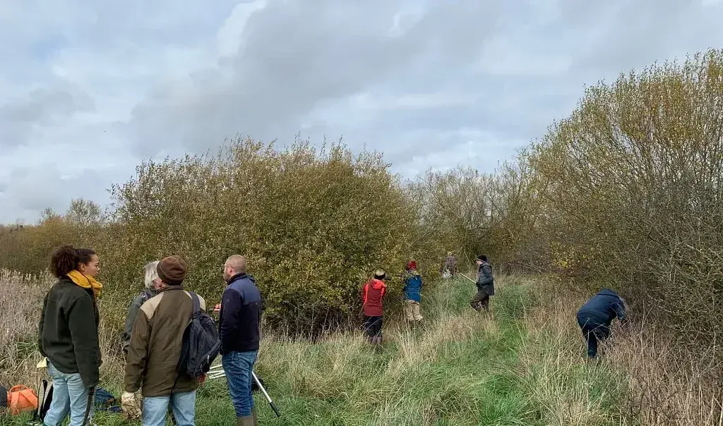 Tous en action dans les prairies humides de Maroilles — Événement