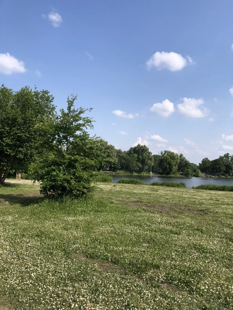 Étang du Vignoble à Valenciennes — Lieu