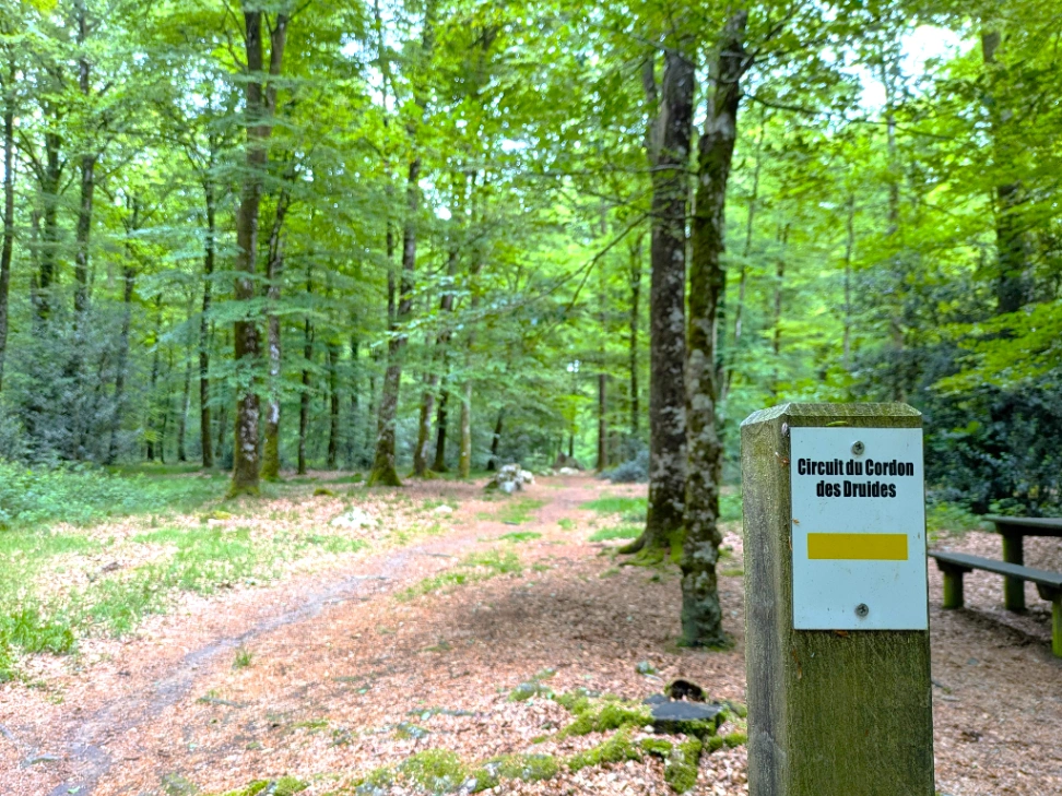 Cordon des Druides à Landéan — Lieu