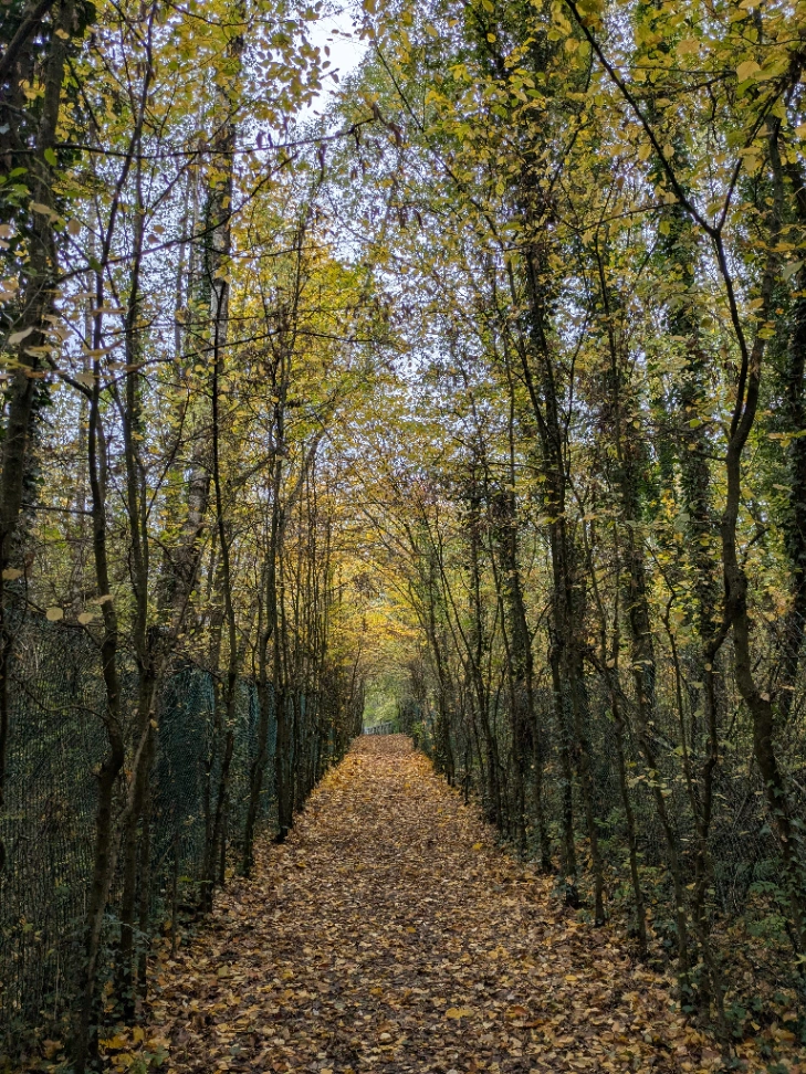 Espace Chico Mendès à Rousies — Lieu