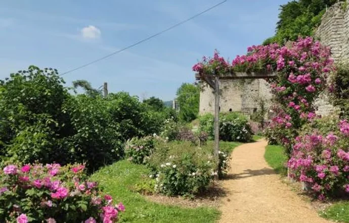 La Roseraie Thibaud IV  à Château-Thierry — Lieu