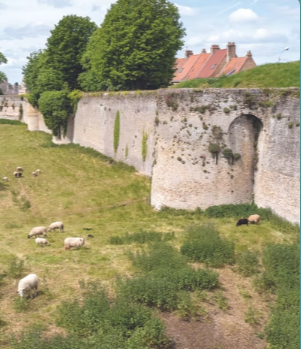 Les remparts de Bergues — Lieu