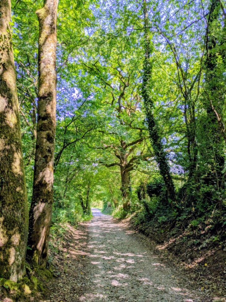 Réserve Naturelle Régionale de Pantegnies à Pont-sur-Sambre — Lieu