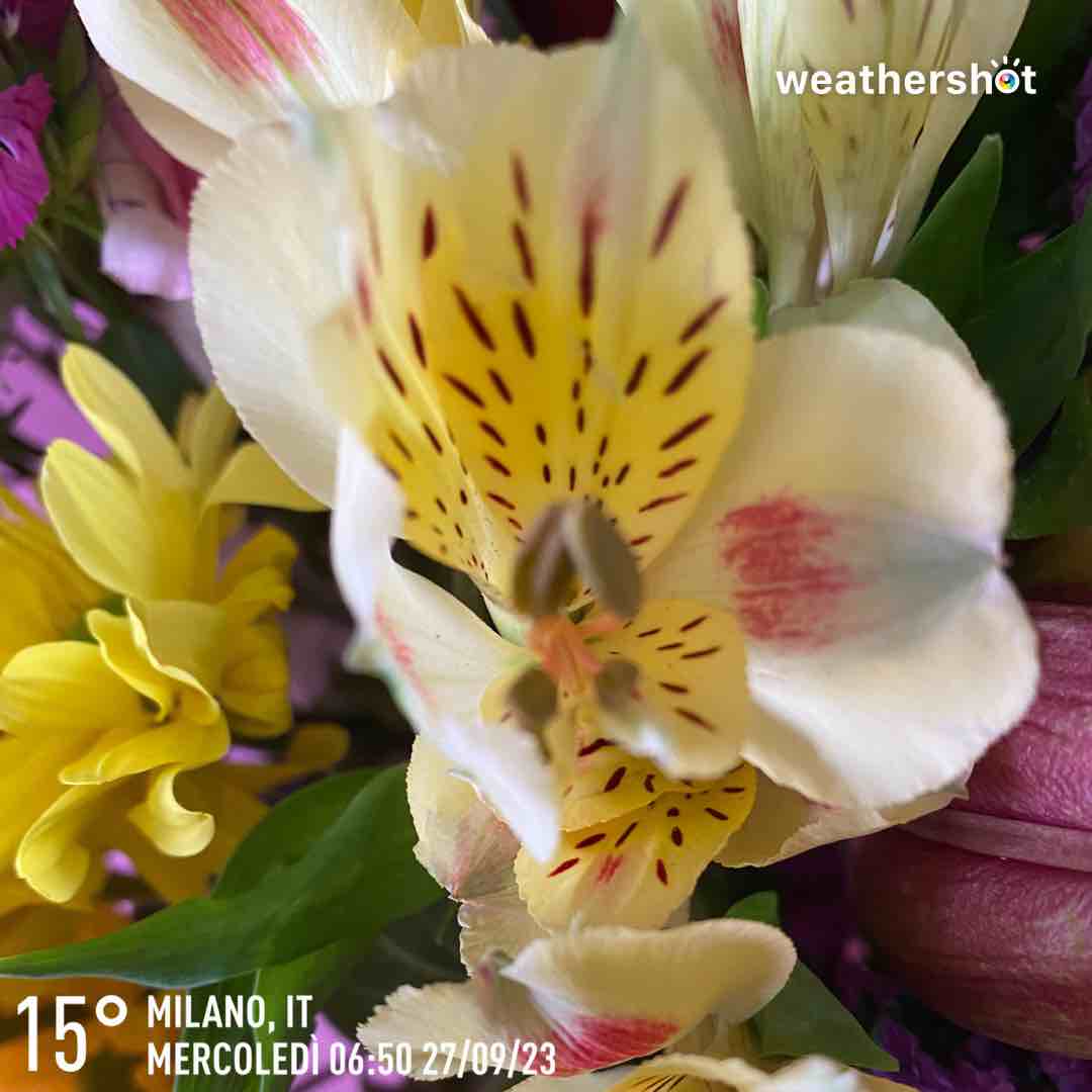 Partly cloudy weather in Milano, 15°C — September 27, 2023 (community photo)