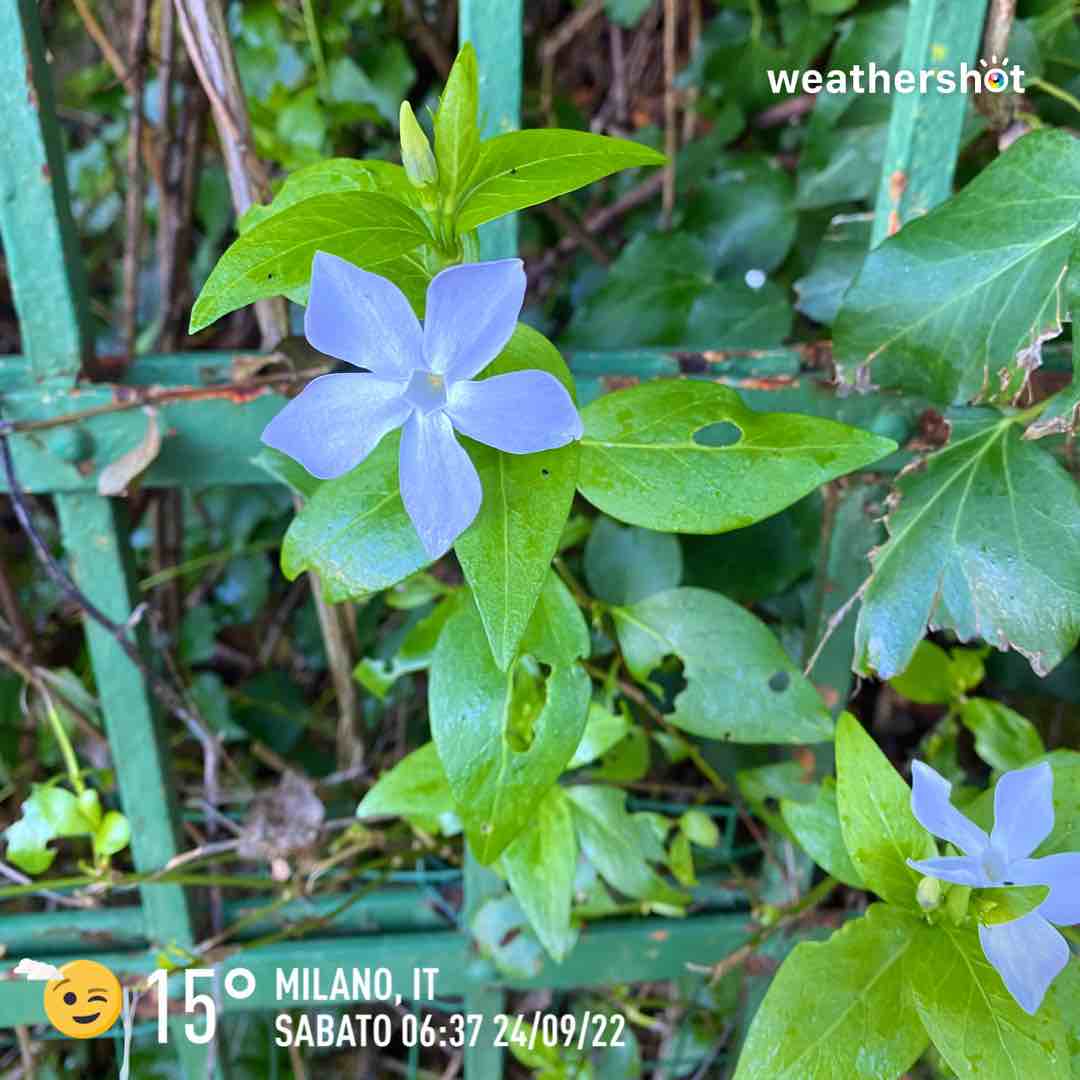 Cloudy weather in Milano, 15°C — September 24, 2022 (community photo)