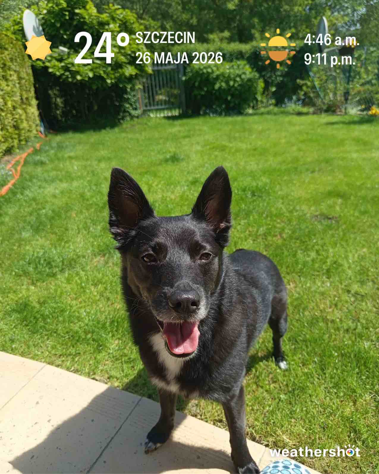 Weather photo from Szczecin