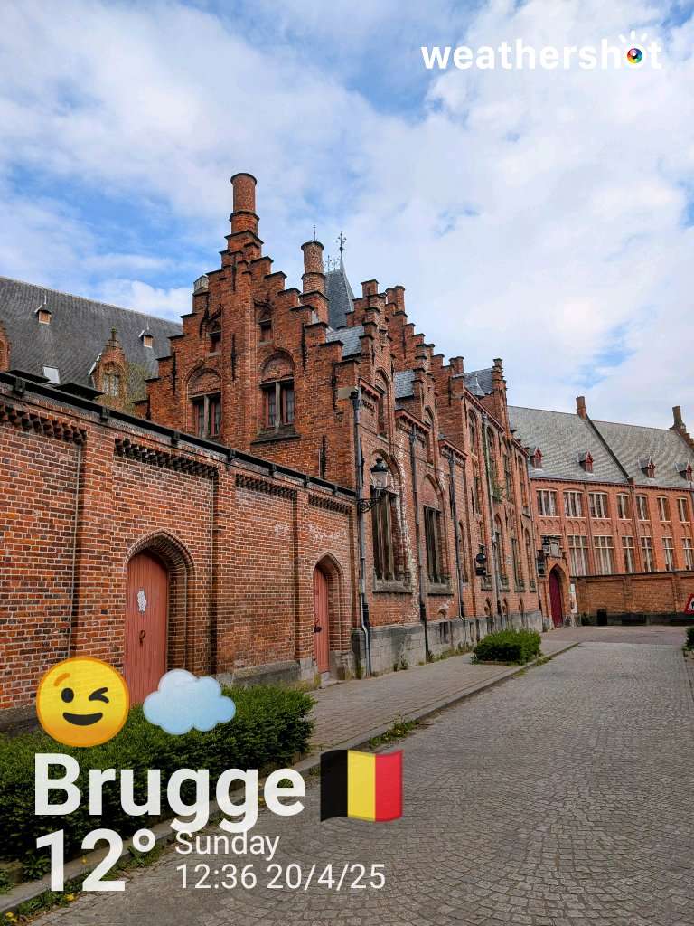 Clear night weather in Brugge, 8°C — April 20, 2025 (community photo)