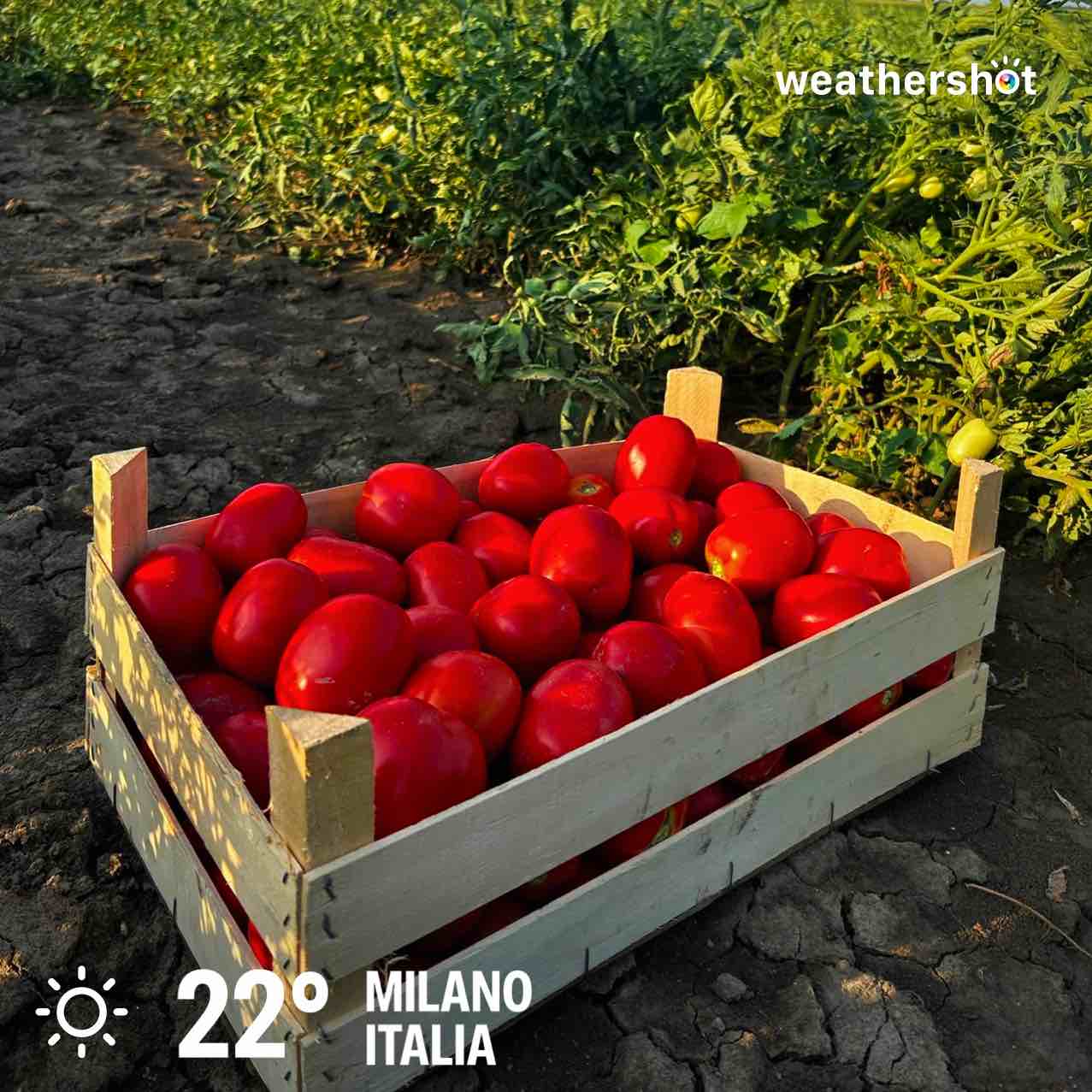 Clear weather in Milano, 22°C — August 31, 2026 (community photo)