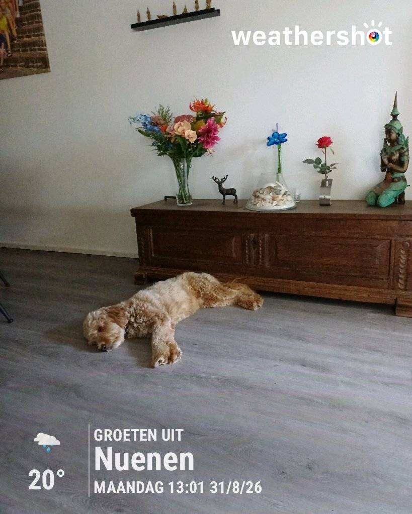 Rainy weather in Nuenen, 20°C — August 31, 2026 (community photo)