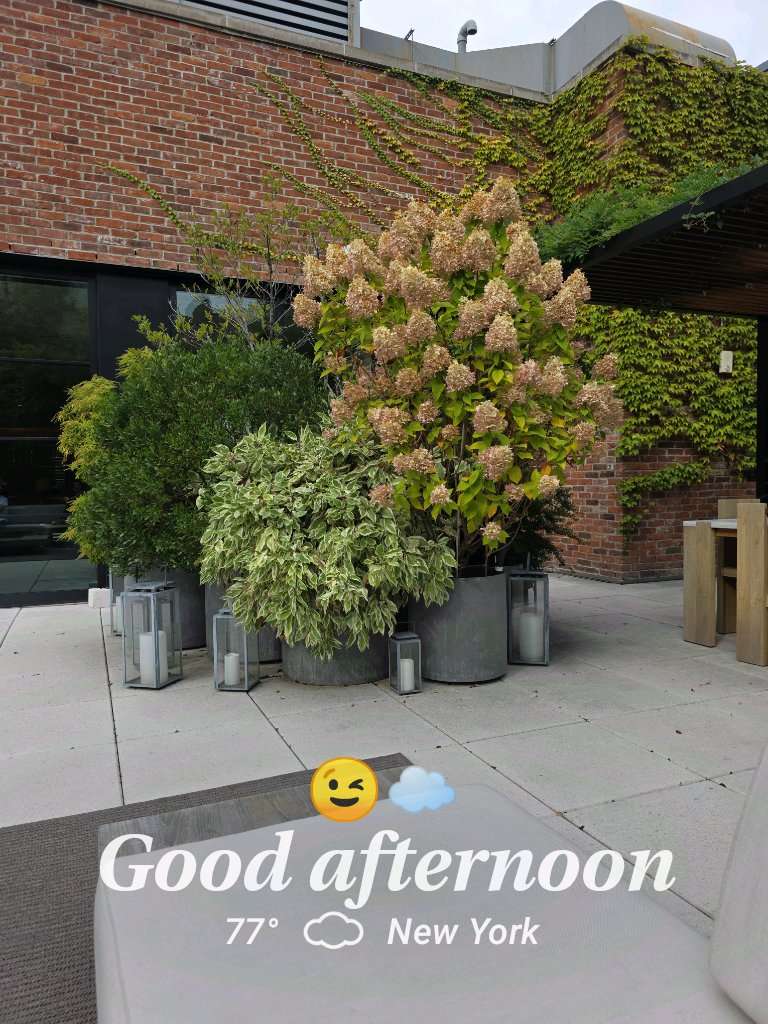 Cloudy weather near New York, 77°F — September 29, 2025 (community photo)