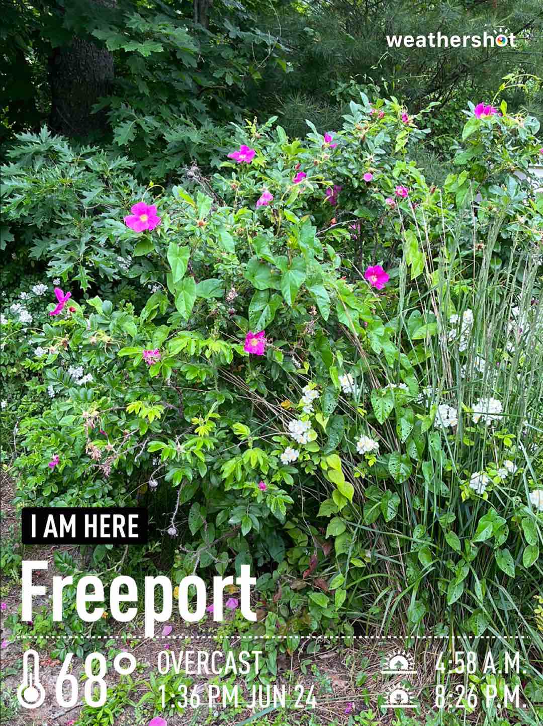 Cloudy weather in Freeport, 68°F — June 24, 2023 (community photo)