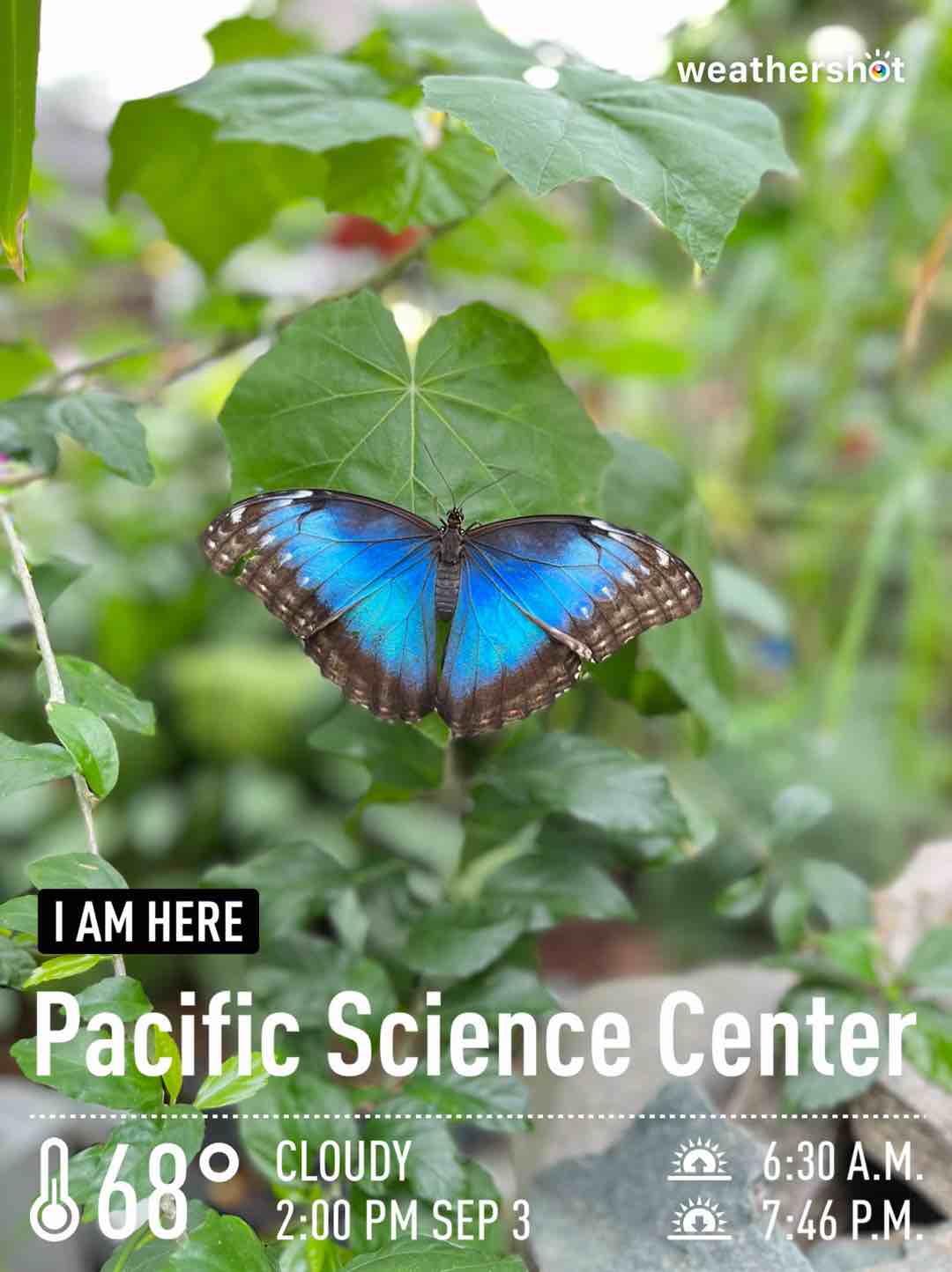 Weather in Seattle, 68°F — September 3, 2023 (community photo)